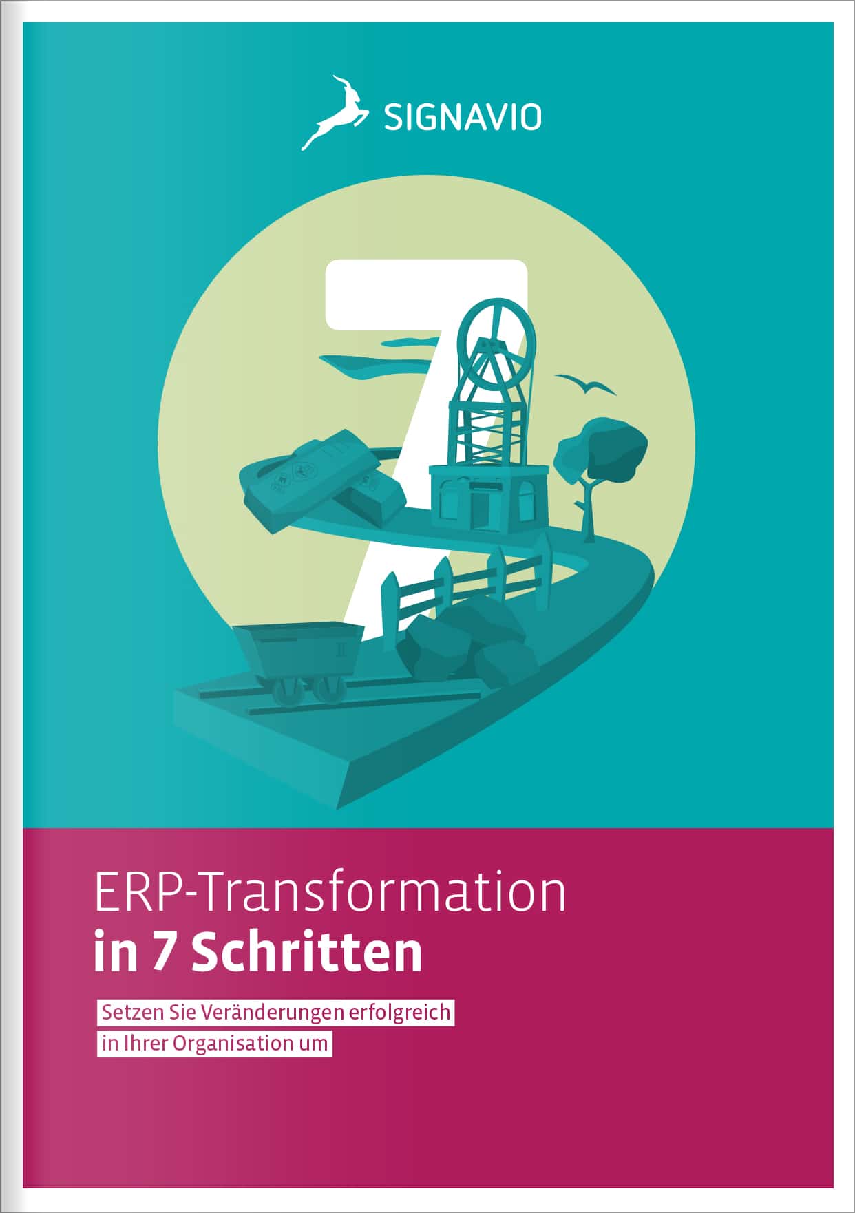 ERP-Transformation 7 Schritten(反)