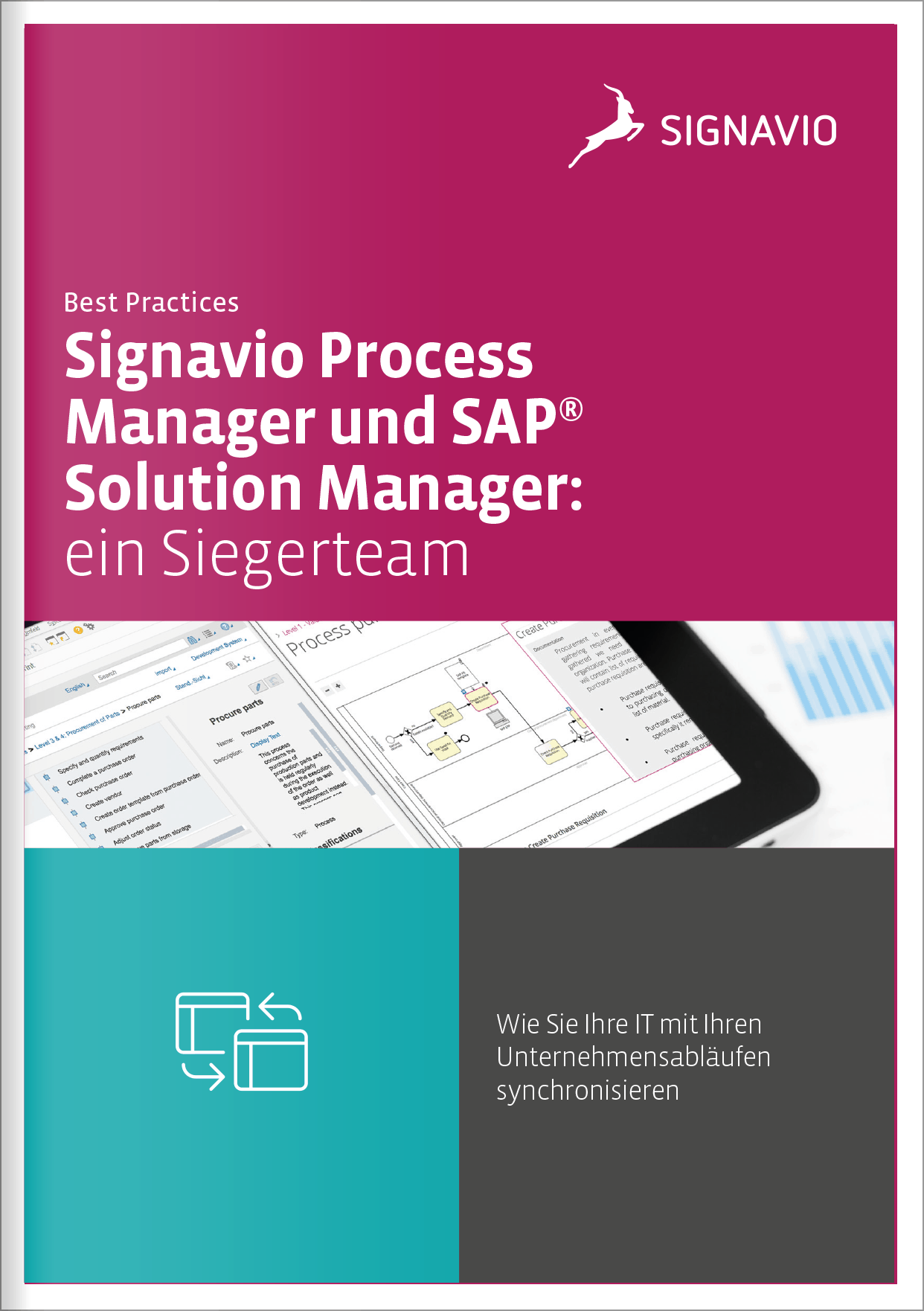 Signavio过程管理和SAP (R)解决方案经理:Siegerteam