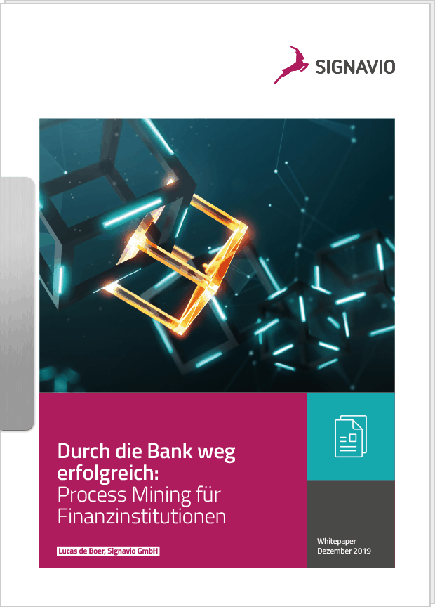 过程挖掘毛皮Finanzinstitutionen Preview-Bild