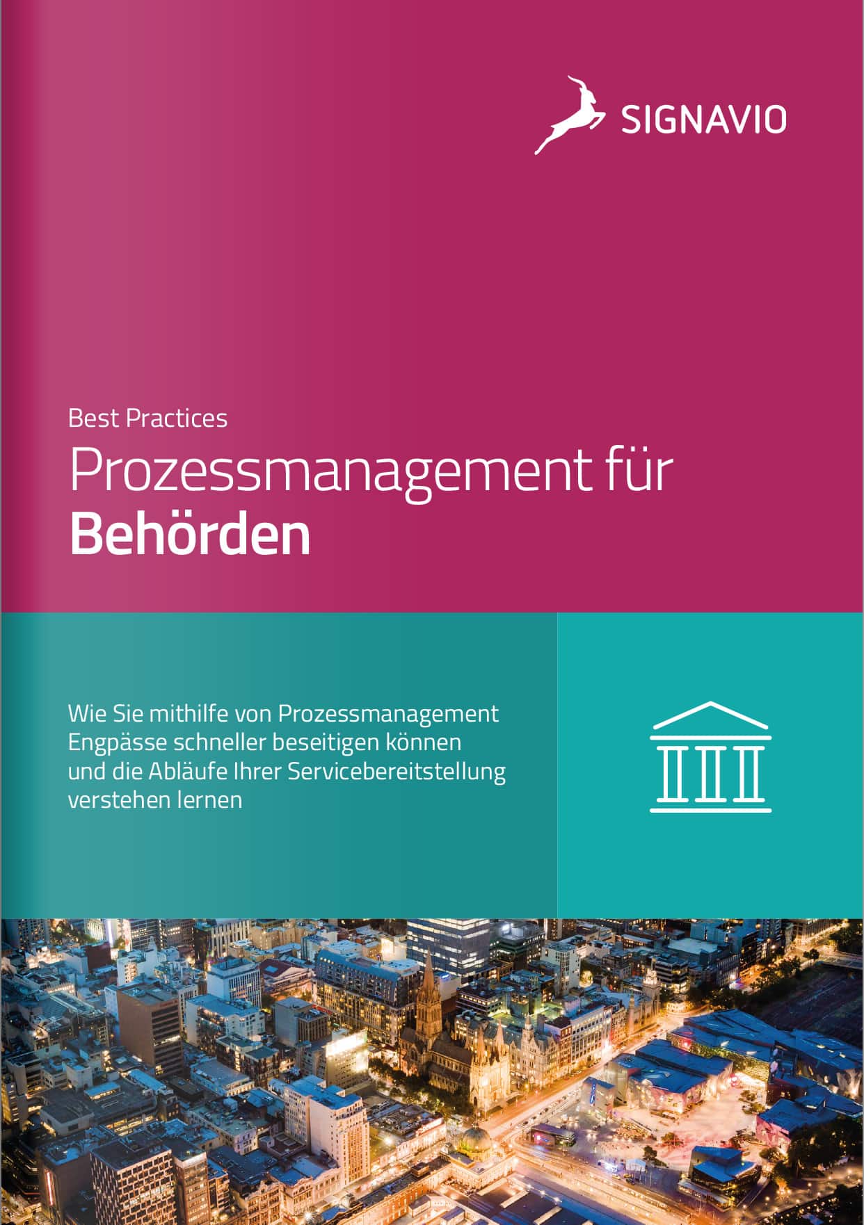 Prozessmanagement毛皮Behorden_Best Practices_Titelbild